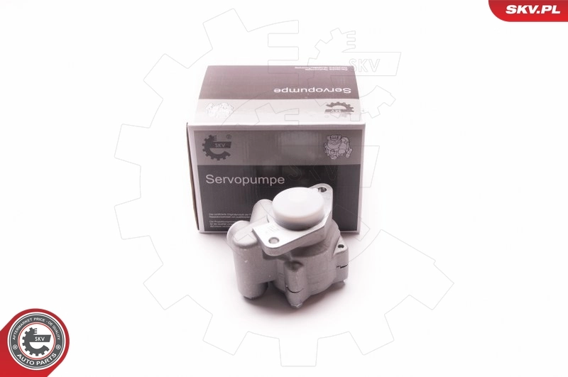 Hydraulic Pump, steering